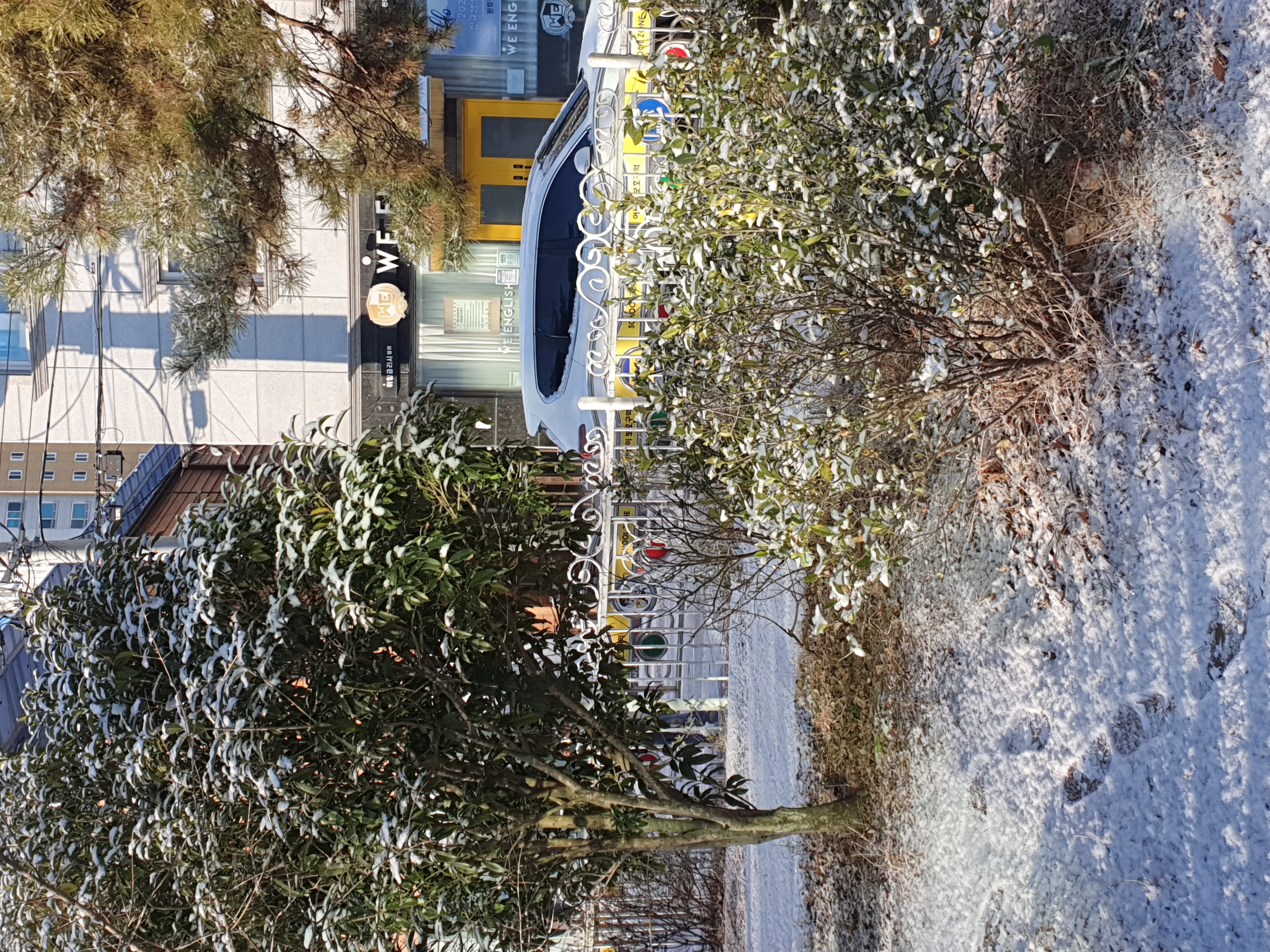 20250108_085554.jpg