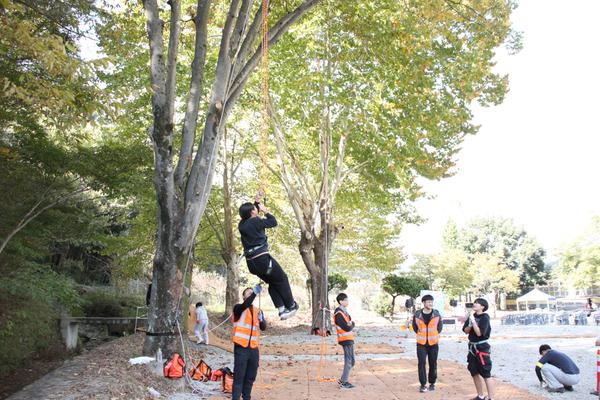 1.스피트 트리클라이밍.JPG