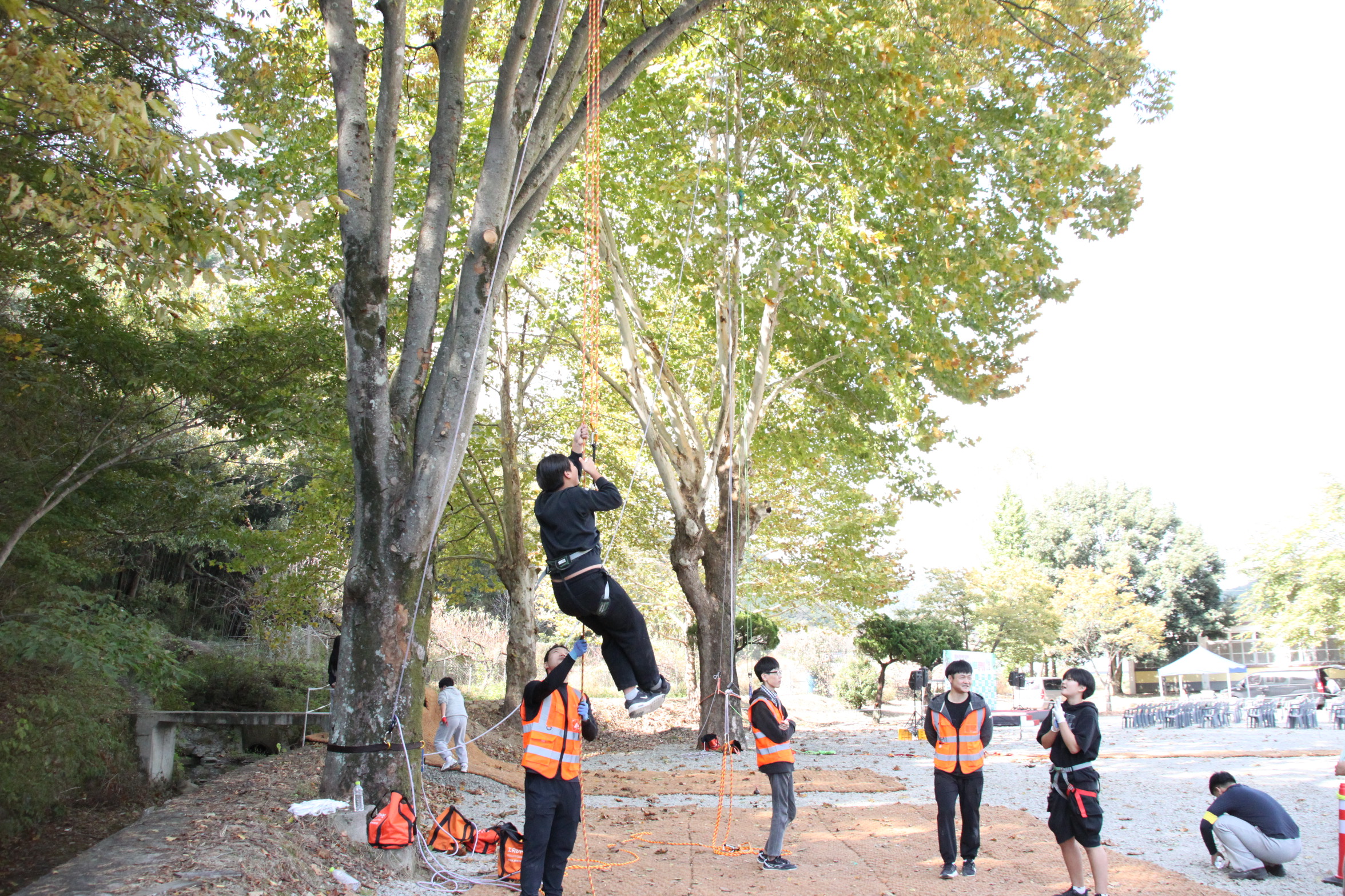 1.스피트 트리클라이밍.JPG