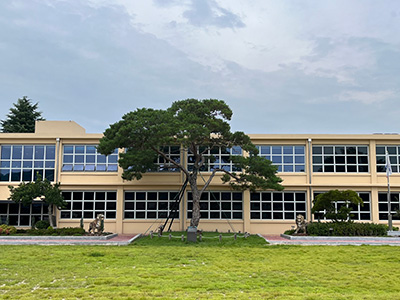 옛 지수초등학교(기업가정신센터)/부자소나무