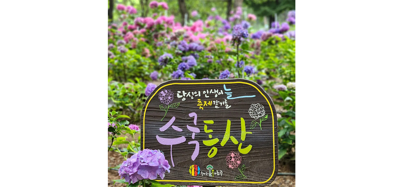 사계절정원 수국동산 이미지
