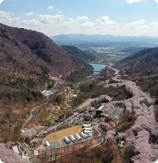 월아산 숲속의 진주