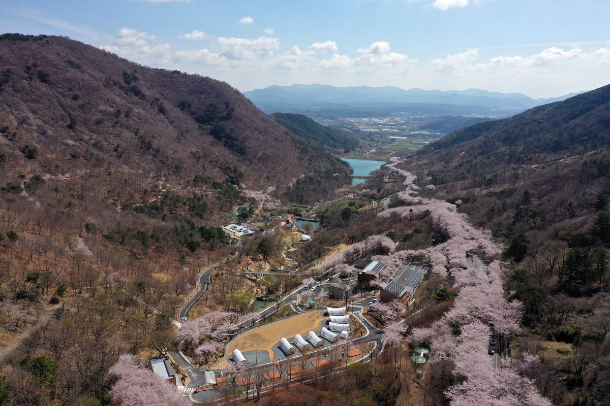 월아산 숲속의 진주