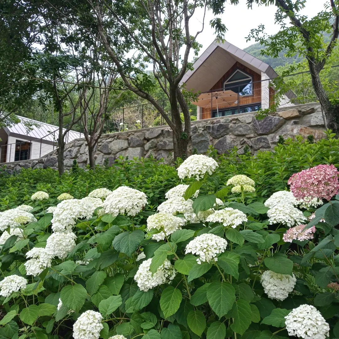 월아산 숲속의 진주
