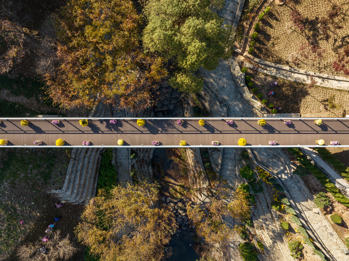 DJI_0986.jpg