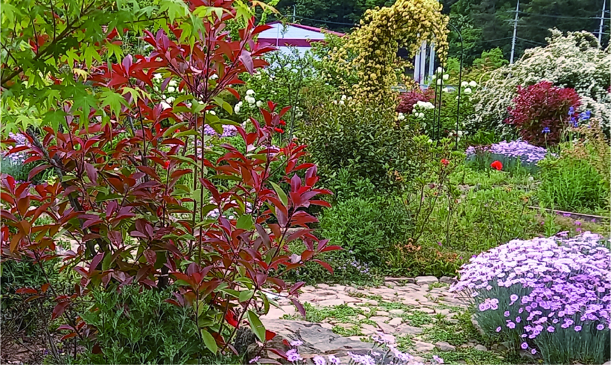 자산 6.jpg