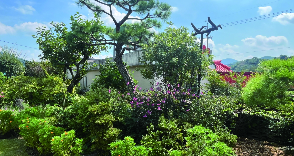 자산 5.jpg