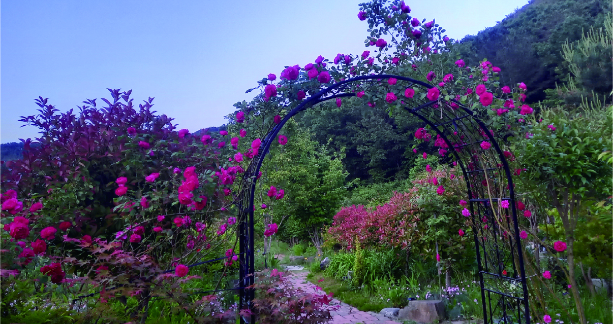 자산 10.jpg