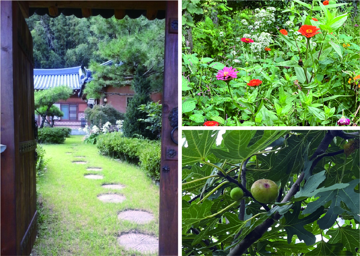 자산 7.jpg