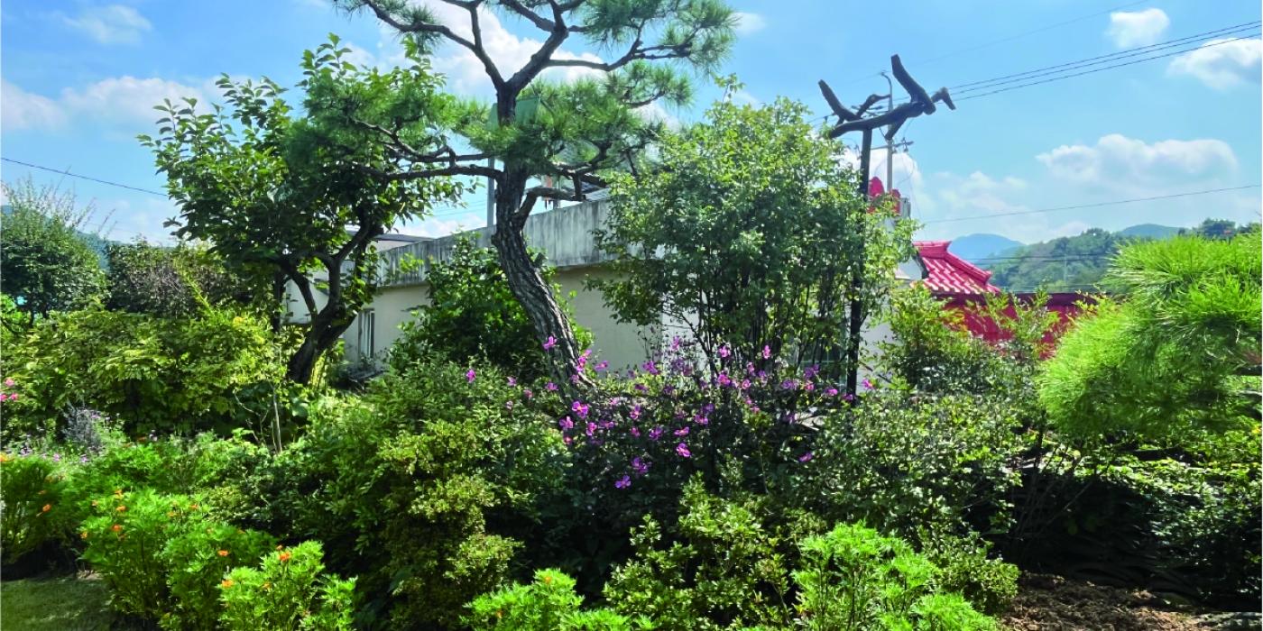 정온(精溫)