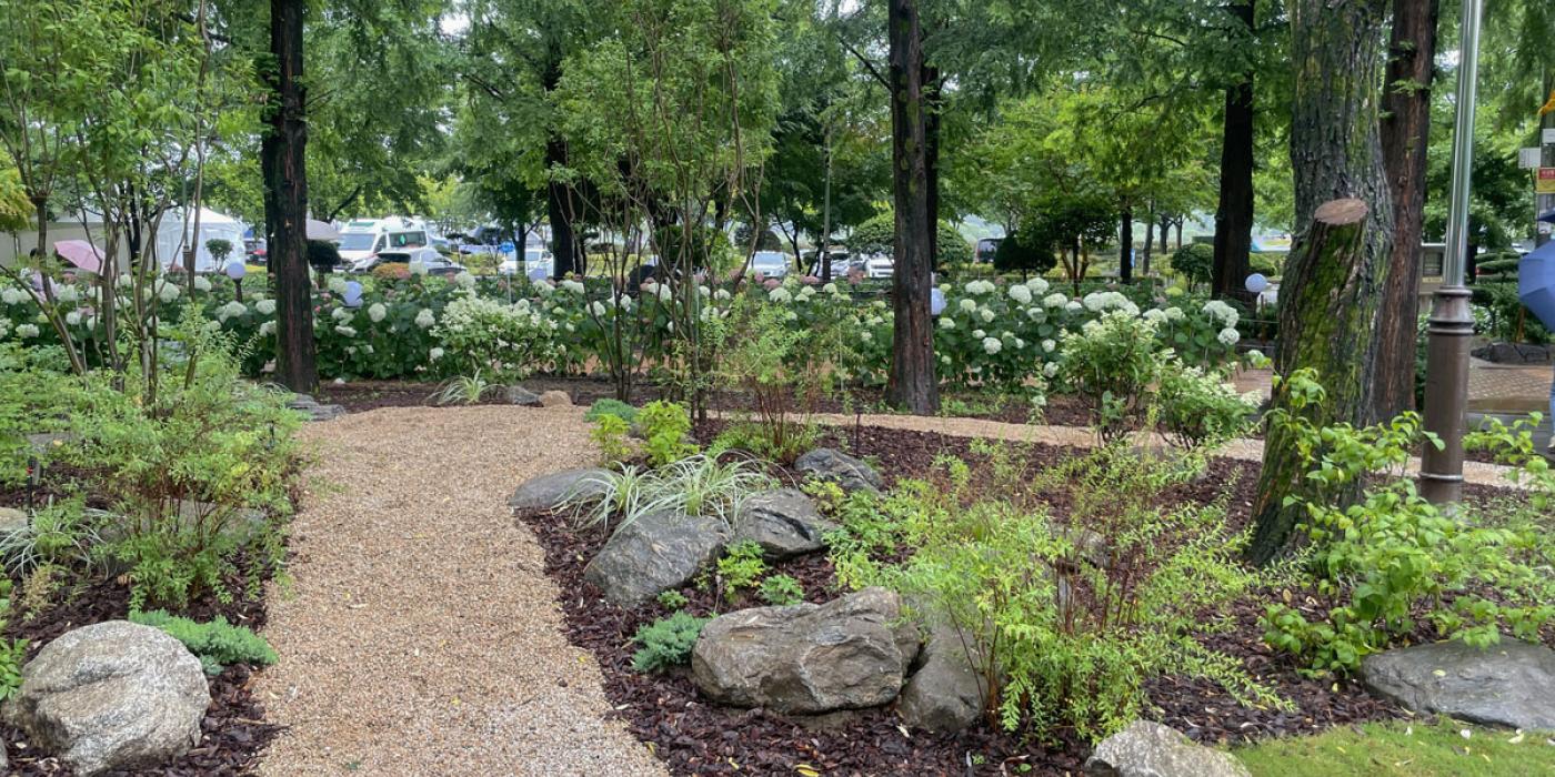 바투 자연 ; 가까운 자연