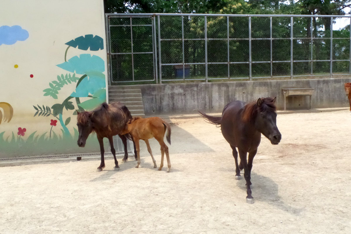 진양호동물원
