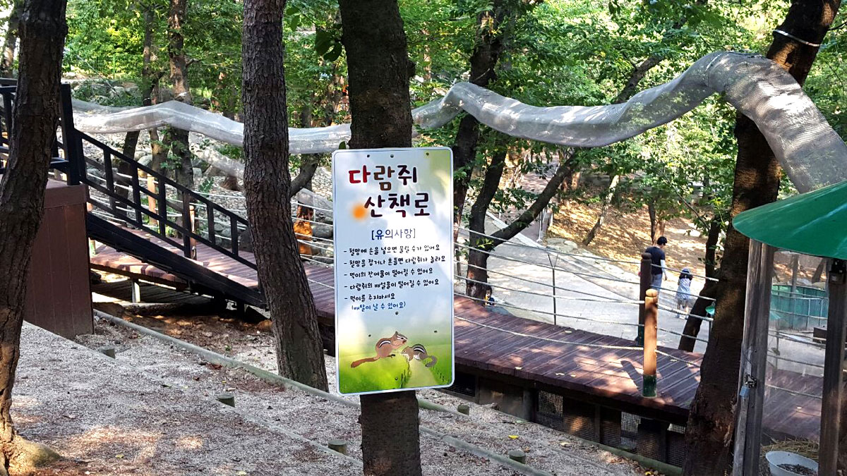 진양호동물원 다람쥐산책로