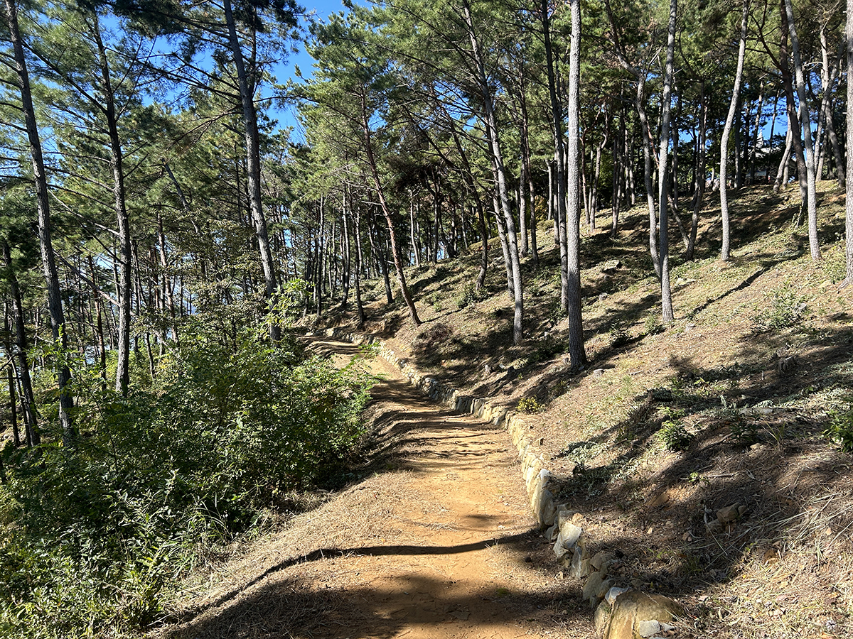 산책로(진양호 가는 길)2