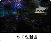 6. 수국길