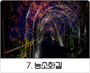 7. 등나무길