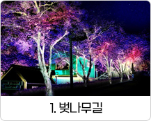 1. 벚나무길