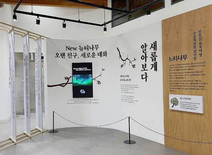 new뉴티나무