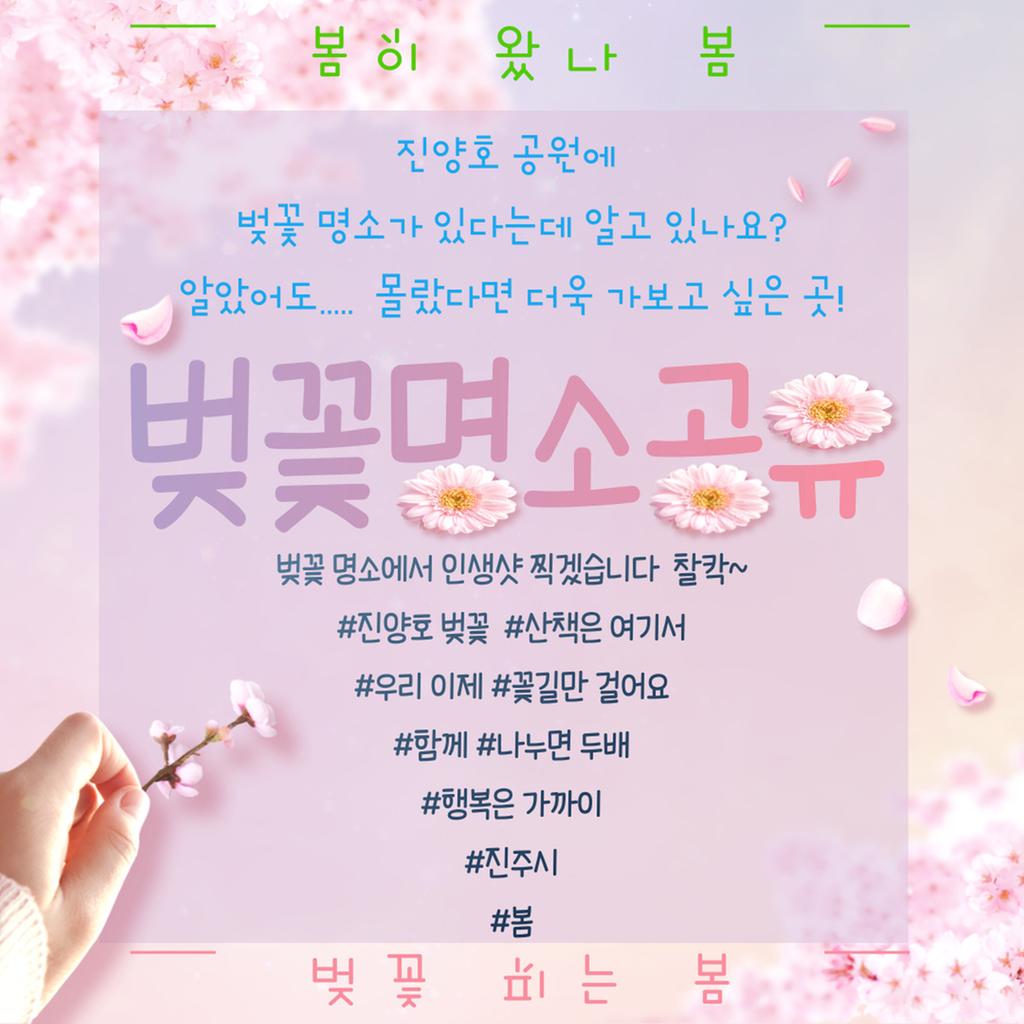 벚꽃명소