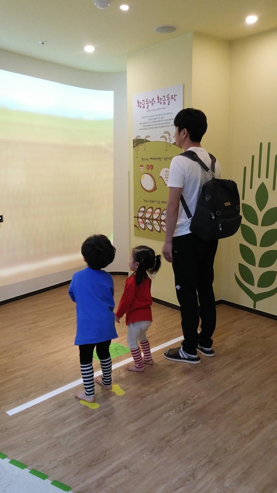 황금들녁