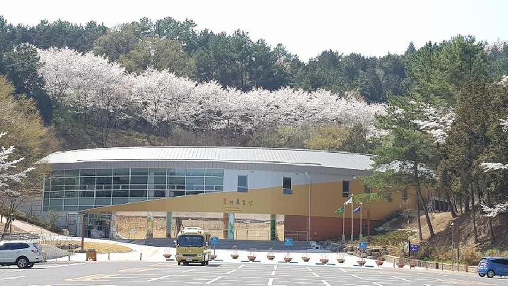 4월의 꿈키움 동산