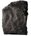 익룡 발자국 화석