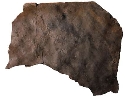 익룡 발자국 화석