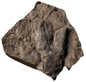 수각류 공룡 발자국 화석